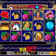 eabet Rio de Janeiro - Bonus Terms